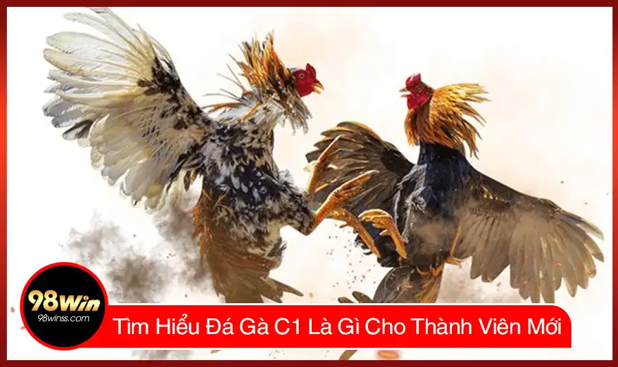 Tìm Hiểu Đá Gà C1 Là Gì Cho Thành Viên Mới